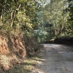 Umling- Patharkhmah Road (3)
